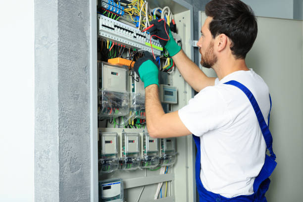 Best Electrical System Inspection  in Herculaneum, MO