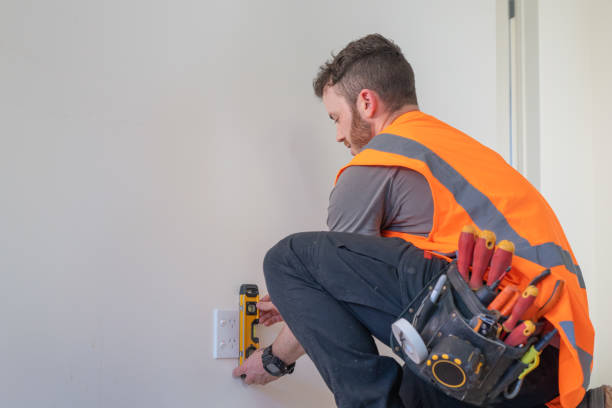 Best Home Electrical Repair  in Herculaneum, MO